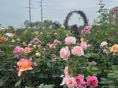 -金银湖国家城市湿地公园
