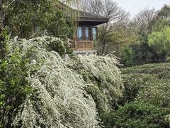 -中国茶叶博物馆(双峰馆区)