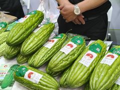 -南宁国际会展中心