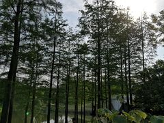 -尚贤河湿地