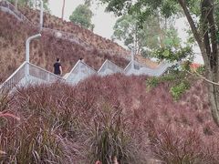 -白石龙音乐公园