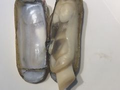 -海味当家(西安路店)