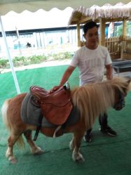 -萌宠亲子动物乐园(槐房万达店)