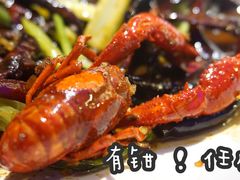 麻辣小龙虾-红钳侠小龙虾·烧烤(中赢康康谷店)