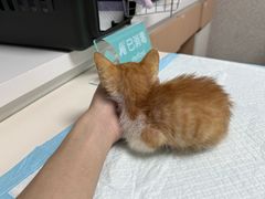 -谐和贝康宠物医院24小时·宠保定点(急重症转诊中心)
