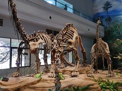 -自贡恐龙博物馆