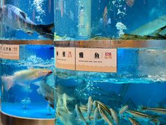-老船舫·现做活鲜鱼馆(东郊记忆店)