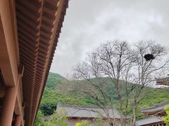 -横山寺
