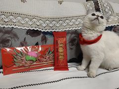 -好利来(永定路店)
