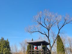 -抱犊寨风景区