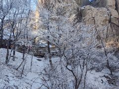 -崂山巨峰游览区
