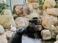 -金庭庄园酒店-停车场