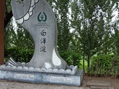 -白洋淀景区