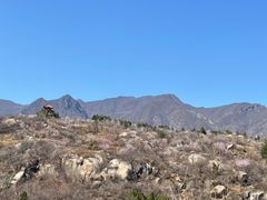 -白水寺森林公园