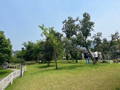 -宁波九龙湖开元度假村