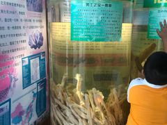 -北京鹿世界主题园