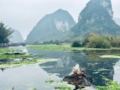 -靖西鹅泉风景区