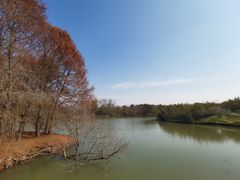 -上海海湾国家森林公园