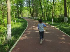 -桤木河湿地公园