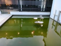 -忆江南婚礼策划(姑苏店)