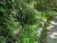 -光雾山旅游景区