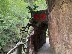-浙北大峡谷