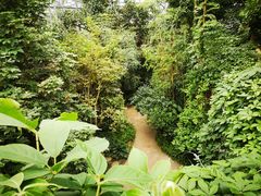 -南山植物园