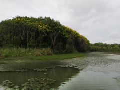 -昆山城市生态森林公园