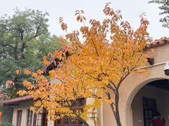 -静园(和平区)