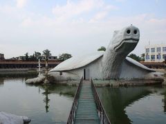 -东方巨龟苑景区