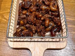-鸽子窝(黄村店)