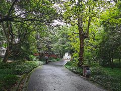 -峨眉山报国寺
