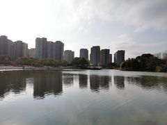 -新江湾城公园
