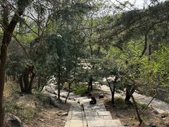 -北京十三陵国家森林公园蟒山景区