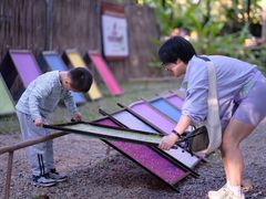-大象粑粑造纸公园