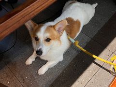 -楠火锅(仁恒梦中心店)