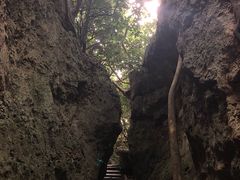 -鹅銮鼻公园