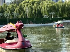 -团结湖公园