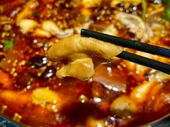 -十二点·辣椒炒肉(南山店)