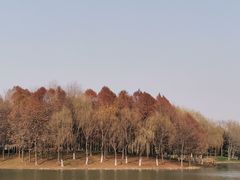 -尚贤河湿地