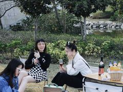 -宝安西湾红树林湿地公园