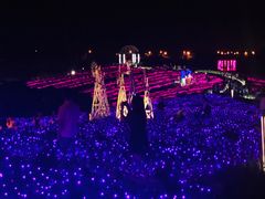 -大塘金香草谷