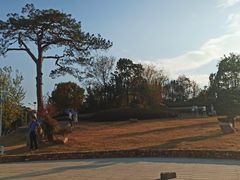 -金孔雀温泉旅游度假村