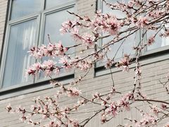 -北京大学百年讲堂