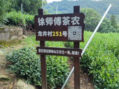 -十里琅珰