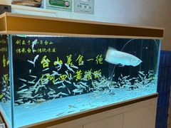 -阿四台山黄鳝饭(东门店)