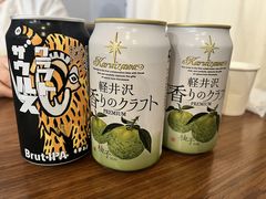 -轻井泽王子购物广场