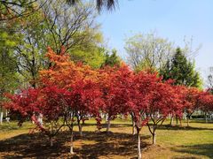 -白塘生态植物园