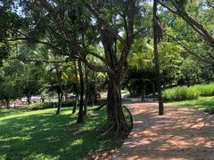 -红色娘子军纪念园