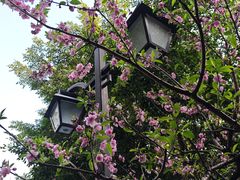 -乌山风景区